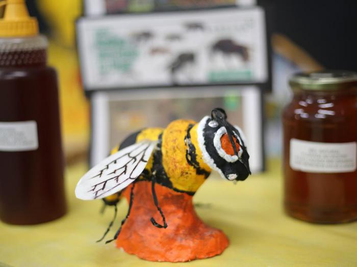 Leia mais sobre o artigo Feira do Conhecimento 2019