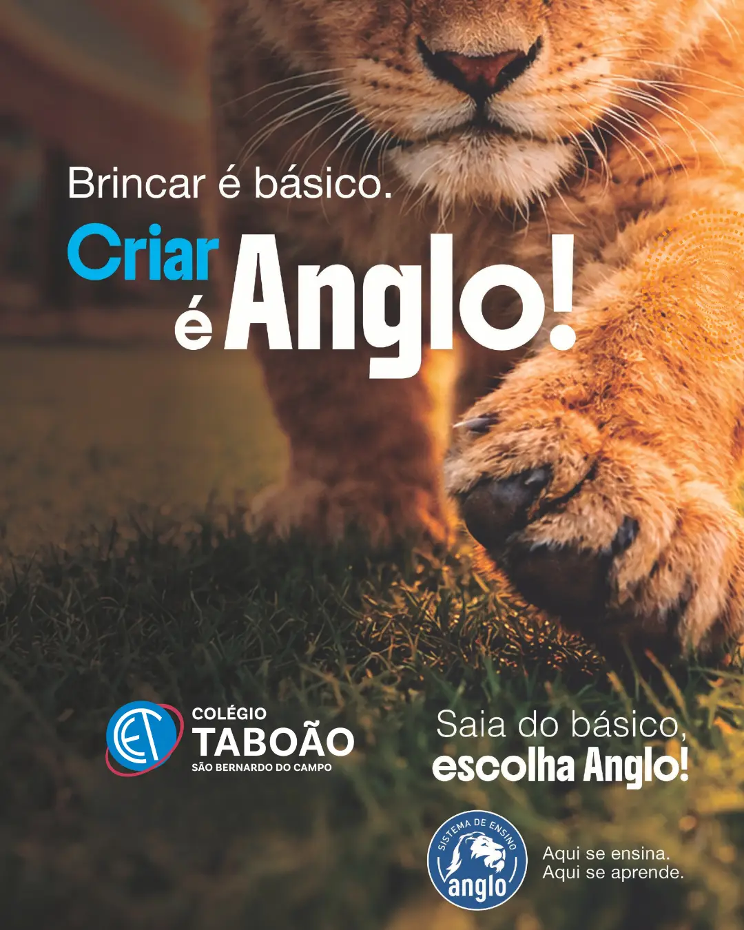 Colégio Taboão
